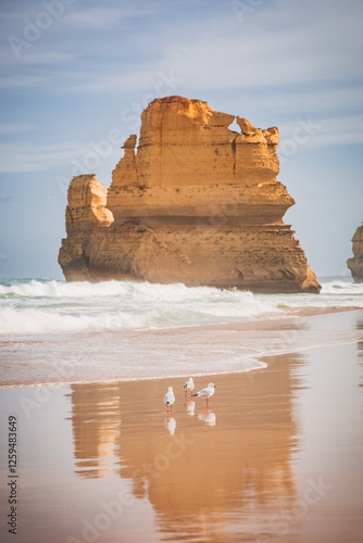 Gibson Steps along the Great Ocean Road, Melbourne, Australia