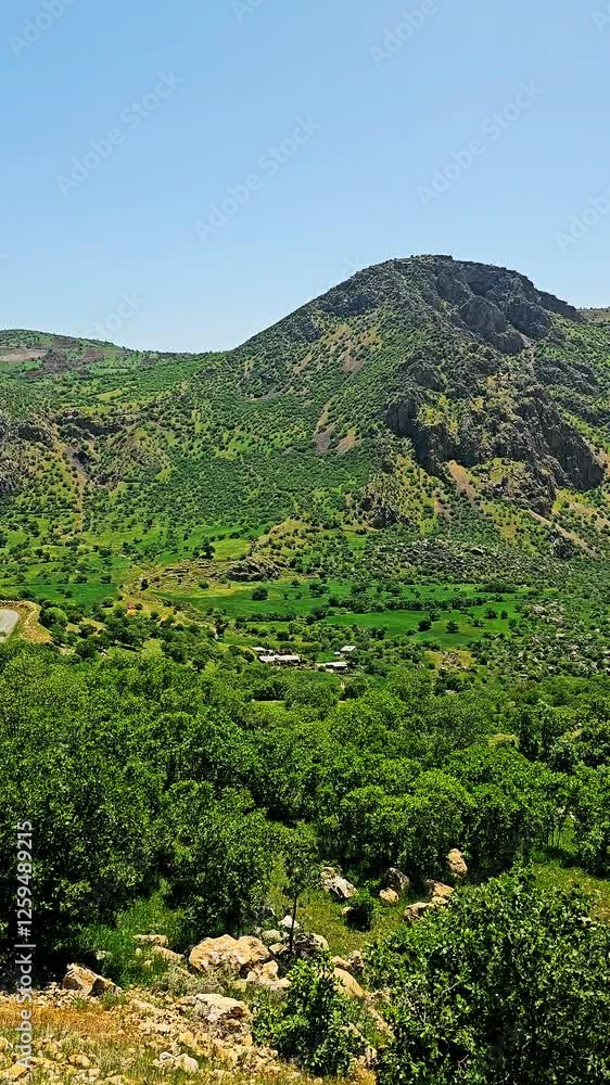 Kolij region is a hidden paradise for nature lovers—lush greenery, untouched landscapes, and pure serenity await those who seek natural beauty and peace.
📍Kollizh (Kolij), Sarvabad - Kurdistan Kolij region is a hidden paradise for nature lovers—lush greenery, untouched landscapes, and pure serenity await those who seek natural beauty and peace.
📍Kollizh (Kolij), Sarvabad - Kurdistan
