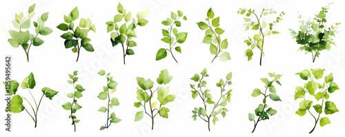Watercolor Greenery Collection Leaves, branches, isolated on white, design