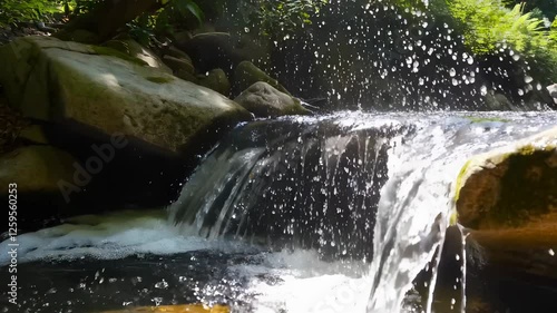 Waterfall in Forest