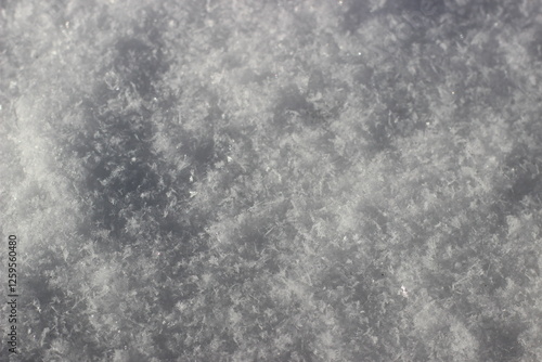 Winter's Delicate Lace