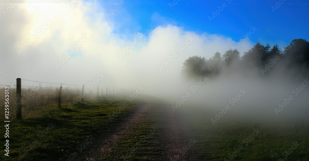 Narrow road disappearing into thick fog, flanked by dark trees and wooden fences, wet pavement reflecting soft morning light, creating an eerie and mysterious atmosphere Narrow road disappearing into thick fog, flanked by dark trees and wooden fences, wet pavement reflecting soft morning light, creating an eerie and mysterious atmosphere