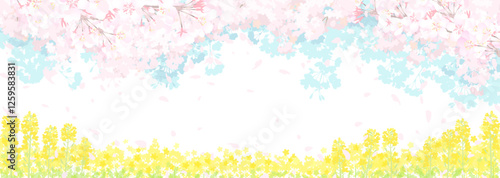桜と春の空　菜の花畑