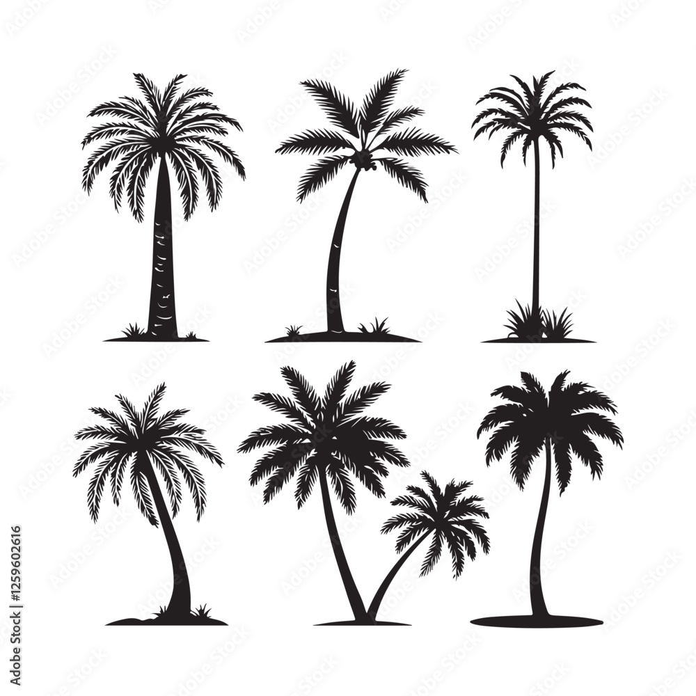Naklejka premium Collection of Black and White Palm Tree Silhouettes vector illustration 