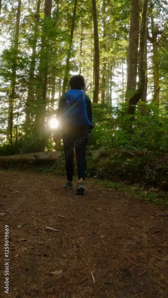 A woman with a blue backpack hikes through a tranquil forest as the setting sun creates a magical glow. British Columbia, Canada. A woman with a blue backpack hikes through a tranquil forest as the setting sun creates a magical glow. British Columbia, Canada.