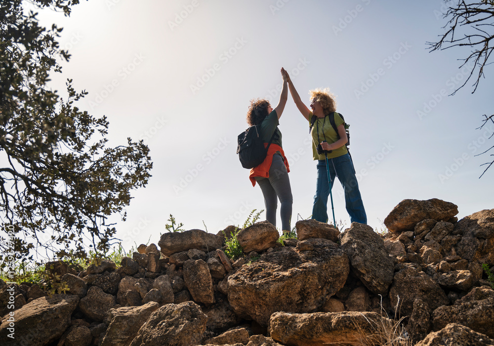 Obraz premium Two women reaching the top of a rocky hill during a hike, celebrating their achievement with a high-five under a bright, clear sky, wearing backpacks and trekking gear
