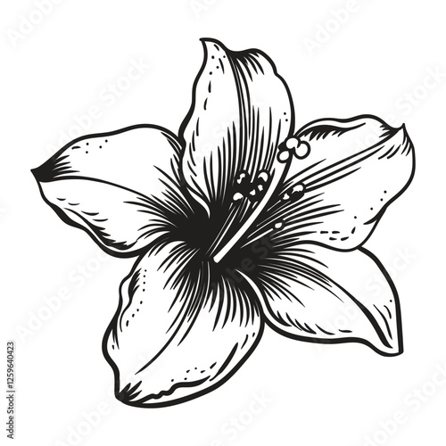 Garden flower. Linear vector drawing isolated on a white background.