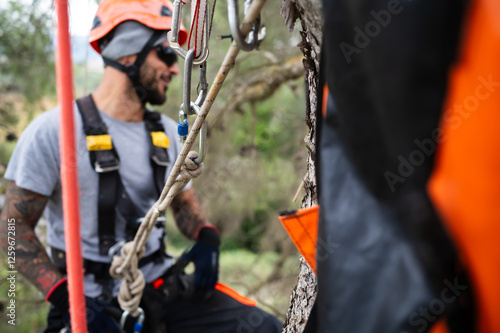 Rope access technician working on tree pruning with safety equipment