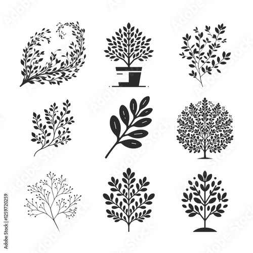 Boxwood plant silhouette collection