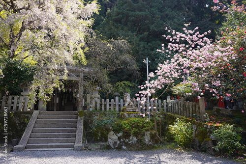京都府に鎮座する神社仏閣と庭園など