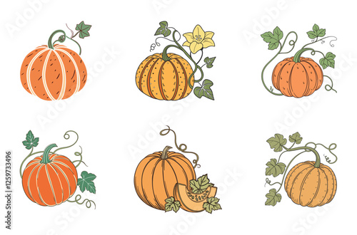 "Harvest Pumpkins and Slices Collection"
