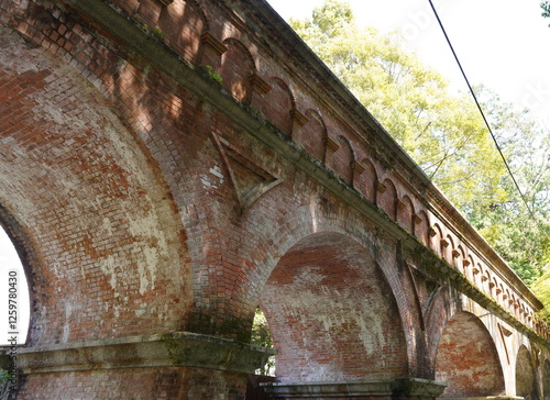 Podobny obraz