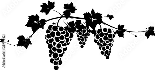 bunch of grapes