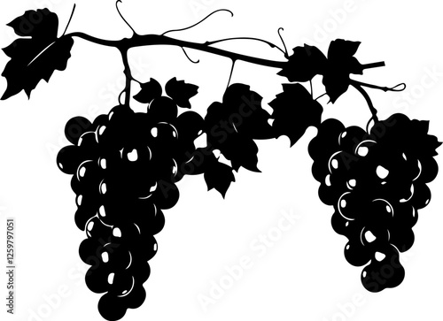 bunch of grapes