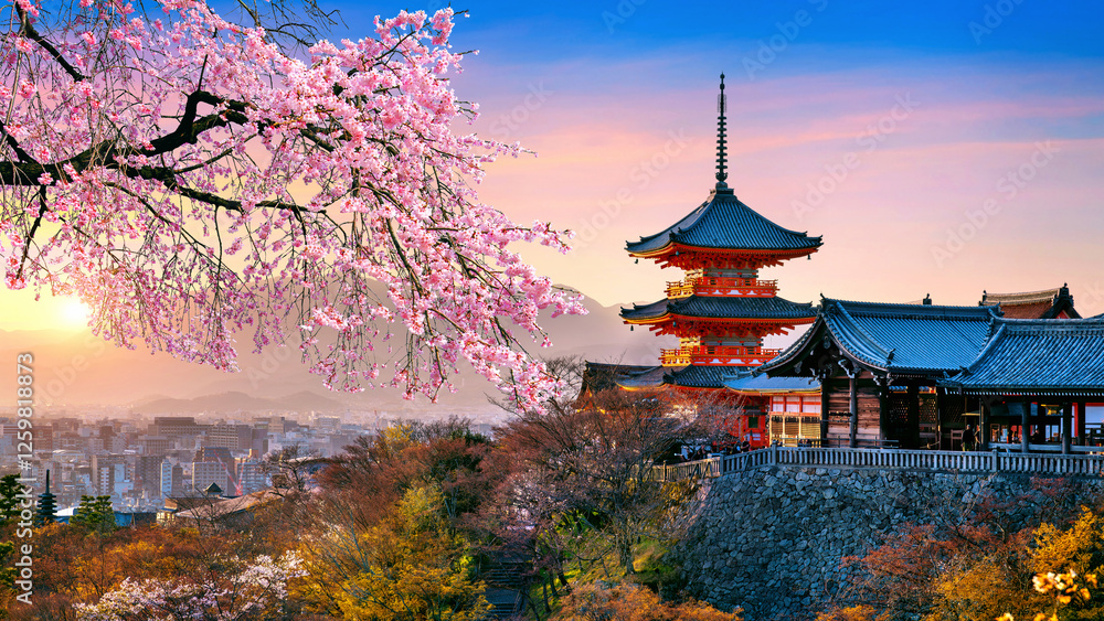 Obraz premium Cherry blossoms and red pagoda at sunset, Japan.