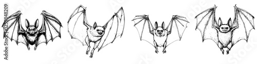 Different species of bats in flight showcasing their wing structures and sizes
