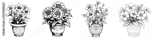 Various detailed illustrations of potted flowers showcasing unique designs and arrangements for artistic inspiration