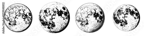 Artistic representation of the lunar phases showcasing detailed surface textures and features during a clear night