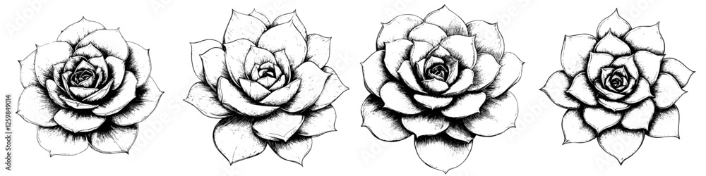 Elegant hand-drawn roses showcasing intricate details arranged in a row on a plain background Elegant hand-drawn roses showcasing intricate details arranged in a row on a plain background