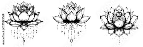Hand drawn vector illustration of lotus flowers with intricate details and patterns, perfect for artistic projects