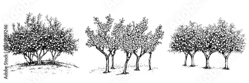 Illustrations of apple trees in various stages of growth, showcasing interconnected nature and agriculture in a simple landscape