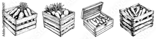 Wooden crates filled with fresh carrots displayed in various arrangements on a clean white background