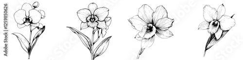 Hand-drawn vector illustration of various orchid flowers showcasing intricate details and unique styles