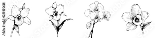 Delicate hand-drawn vector illustration of various orchid flowers showcasing unique shapes and details