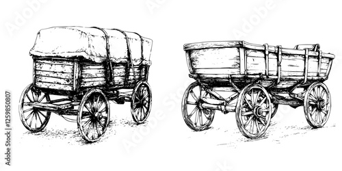 Vector illustration of hand-drawn wooden carts with wheels on a rustic background showcasing vintage transportation design