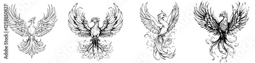 Stunning hand-drawn vector illustrations of mythical phoenix birds in various elegant poses and styles