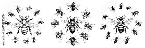 Vector illustration of hand-drawn bees in various sizes and styles, showcasing intricate details of bee anatomy and behavior
