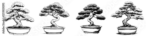 Bonsai trees displayed in various styles showcasing intricate hand-drawn vector illustration techniques