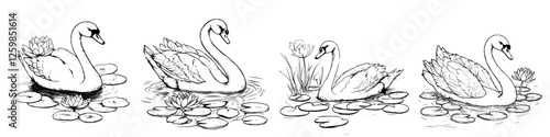 Elegant swans gliding gracefully on a serene pond with water lilies in a hand-drawn vector illustration style