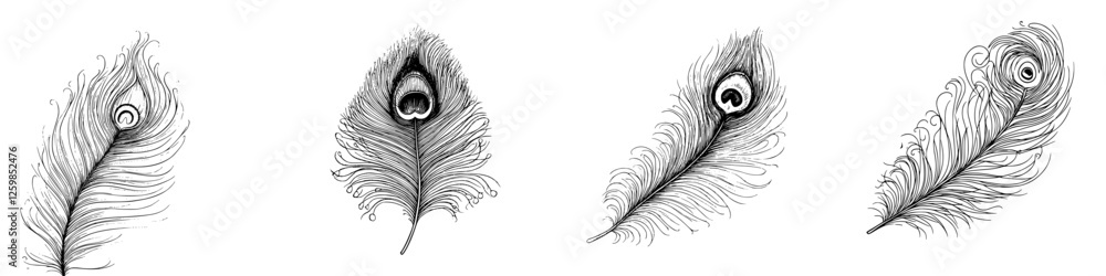 Obraz premium Hand-drawn vector illustration of elegant peacock feathers showcasing intricate details and designs