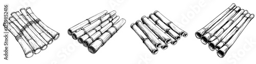 Vector illustration of hand-drawn bamboo arrangements showcasing unique structures and textures in a minimalist style