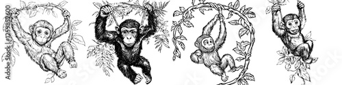 Vector illustration of playful monkeys hanging from vines in a natural jungle setting during daytime