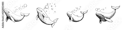 Elegant hand-drawn vector illustration of whales swimming and creating bubbles in the ocean