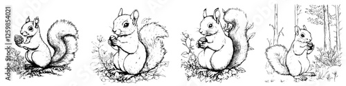 Charming hand-drawn vector illustration of squirrels foraging in a natural woodland setting