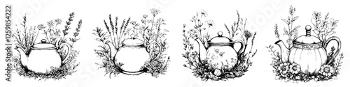 Hand-drawn vector illustration featuring teapots surrounded by various wildflowers and herbs in a natural setting