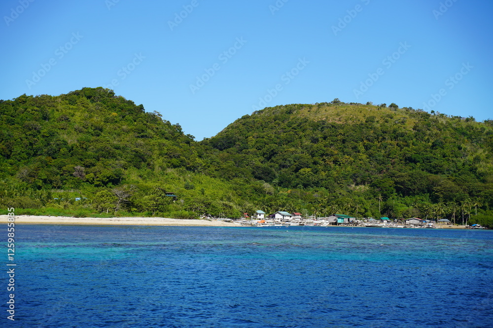 Tropical beach with coconut palm trees and sea on the island Palawan at the Philippines Tropical beach with coconut palm trees and sea on the island Palawan at the Philippines