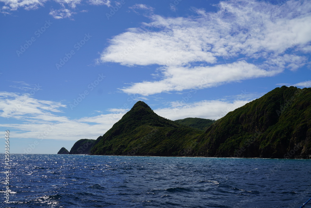 Tropical beach with coconut palm trees and sea on the island Palawan at the Philippines
