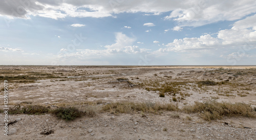 Sueda waterhole, Etosha, Namibia photo