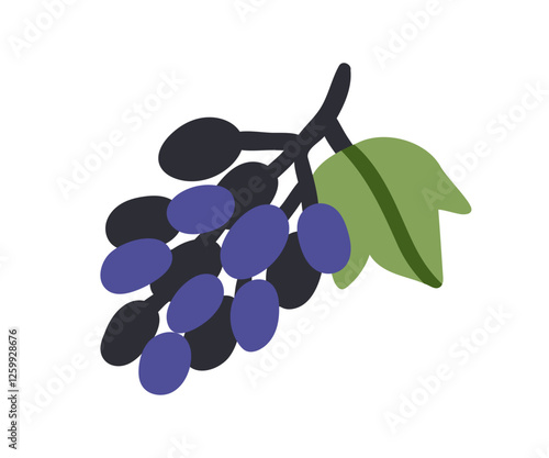 Grapes bunch with leaf. Fresh ripe berries cluster, healthy natural vitamin n...