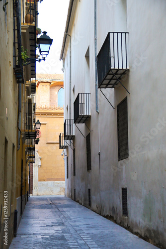 Narrow street with old facades in The Ciutat Vella district of Valencia city photo