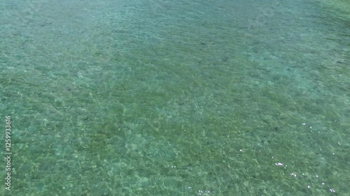 Aerial Drone view of Turtle swimming at the Shore next to Beach of Gili Trawangan stunning Island. Crystal-clear Turquoise Water on vibrant Island Scenery.
Tropical Paradise Nature Landscape in Asia.