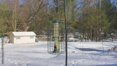 Handheld rotation around a birdfeeder. photo