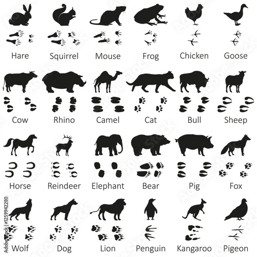 Animal Footprint Silhouette Clipart Vector Set