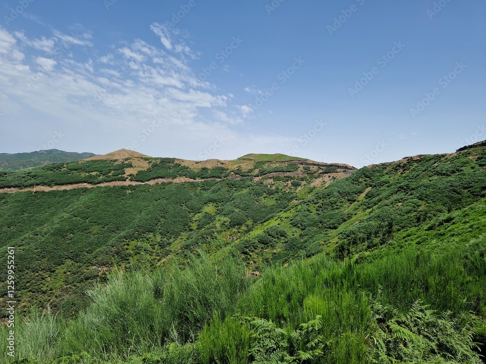 Stunning Panoramic View of Madeira's Lush Hills and Ocean Coastline Stunning Panoramic View of Madeira's Lush Hills and Ocean Coastline