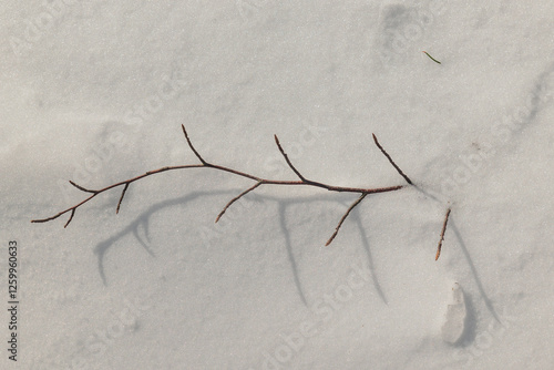 Obraz na płótnie rametto sottile di un albero, con tante gemme di foglie nuove, sopra la neve w salonie