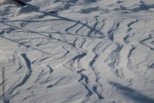 dettagli della superficie di un terreno naturale coperto dalla neve con forme variabili disegnate dal vento ed illuminate dal sole, di giorno, in inverno